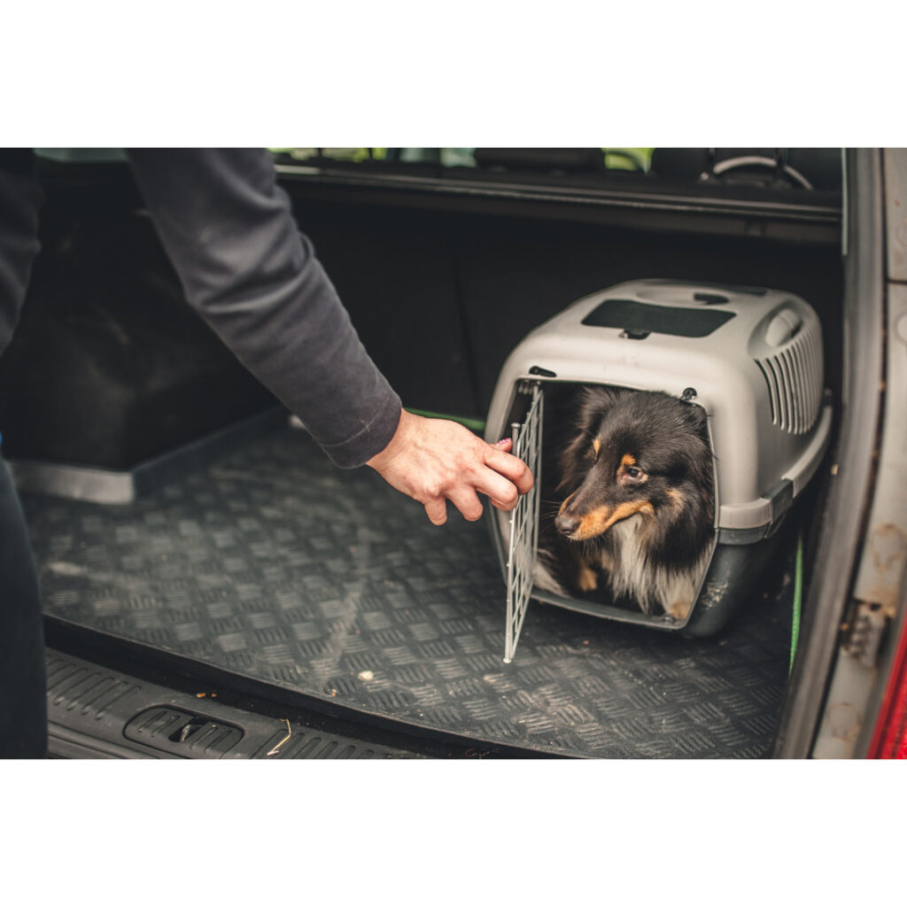 ９時〜　登園・お迎え