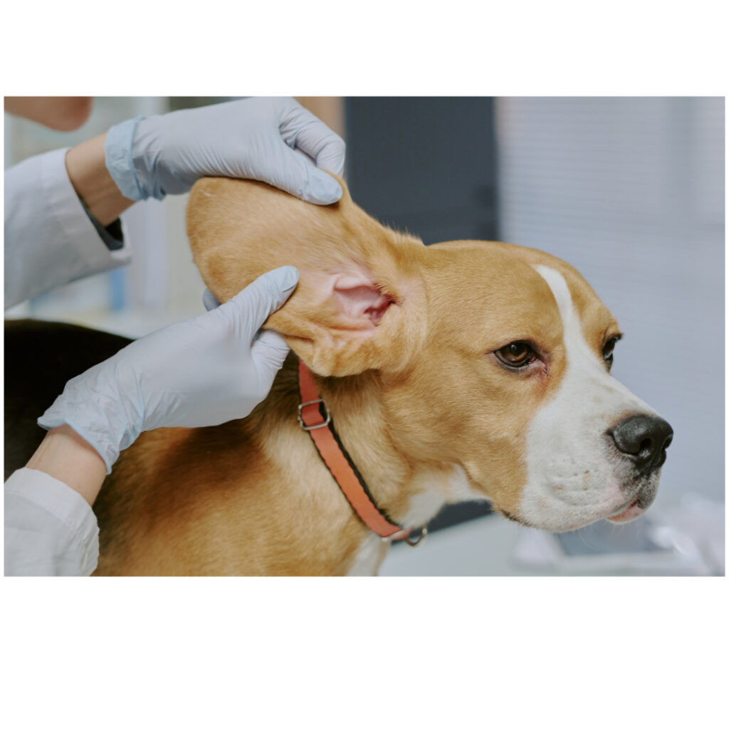 10時頃　ご挨拶・体調チェック