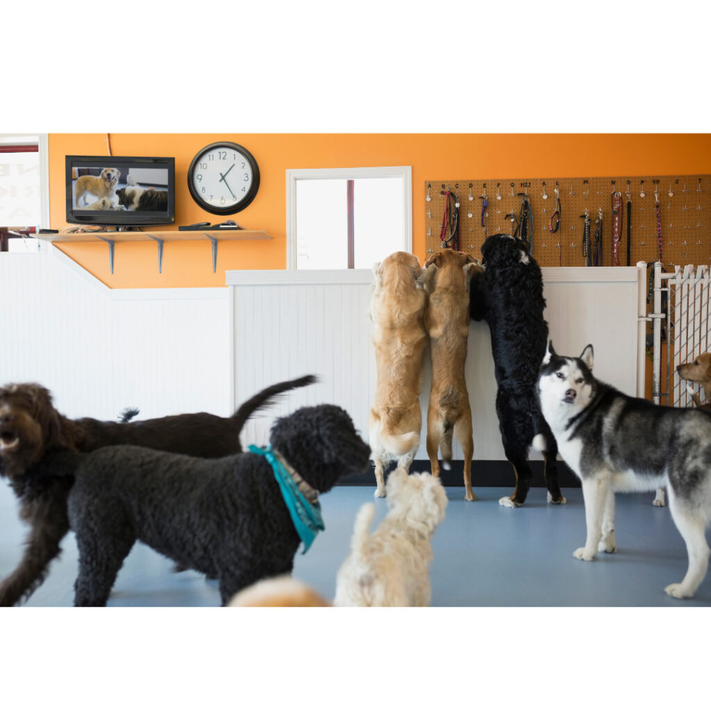 11時頃　お遊びの時間