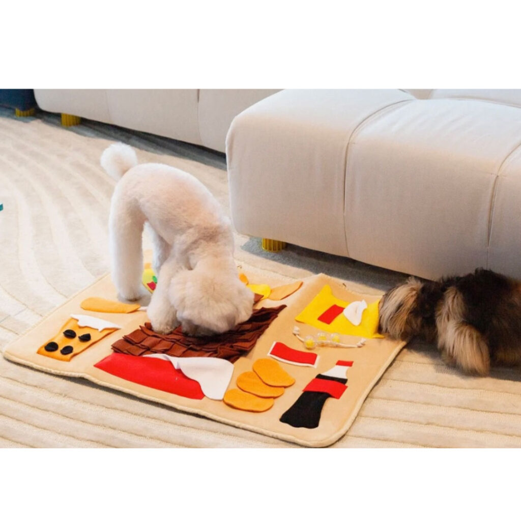 13時頃　フリータイム