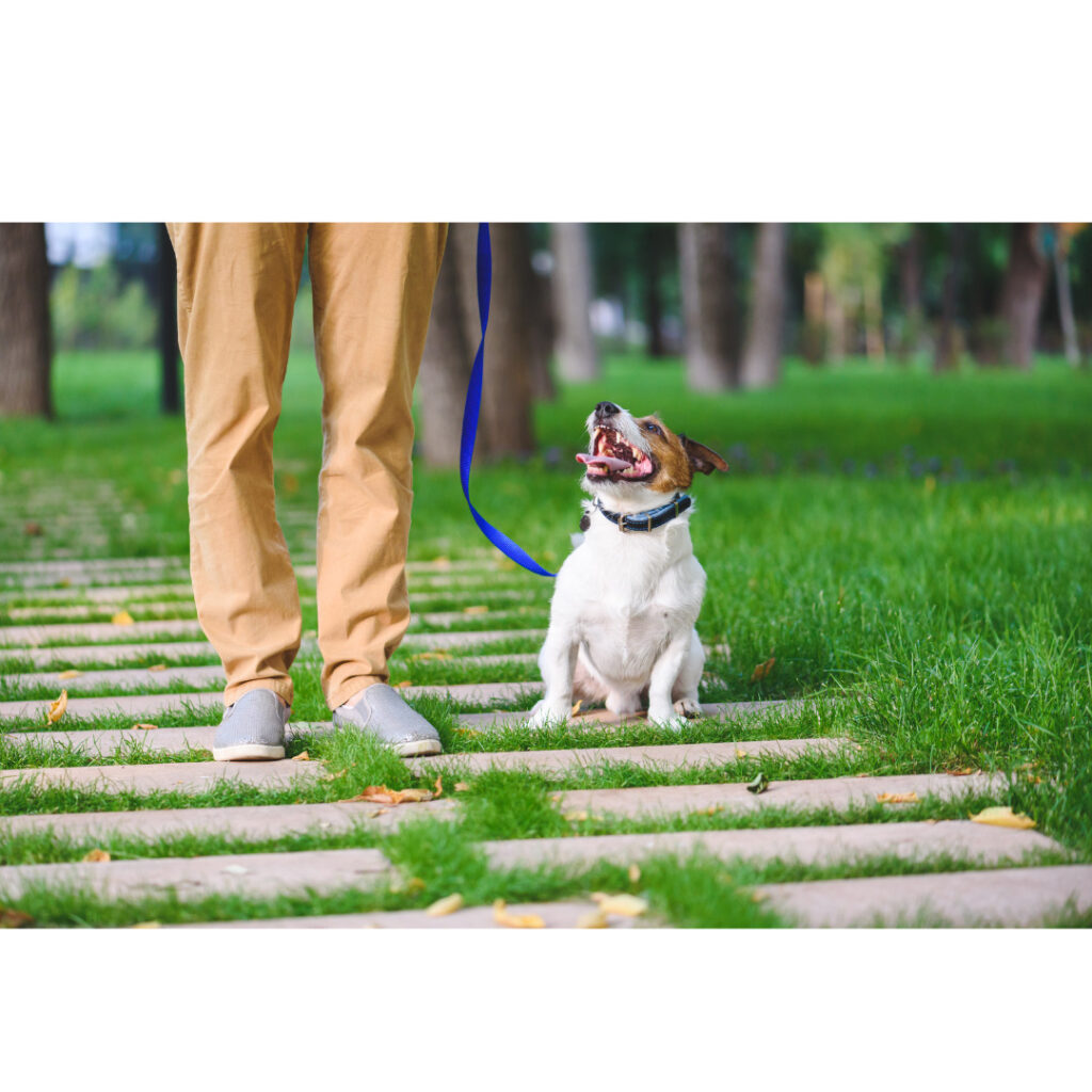 14時30分ごろ　お散歩タイム
